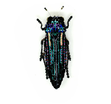 Broche scarabée - noir beetle