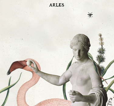 Affiche Venus