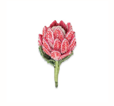 Broche Sugar bush protea