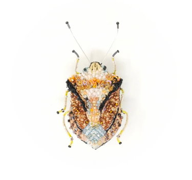 Broche Scarabée European shield bug