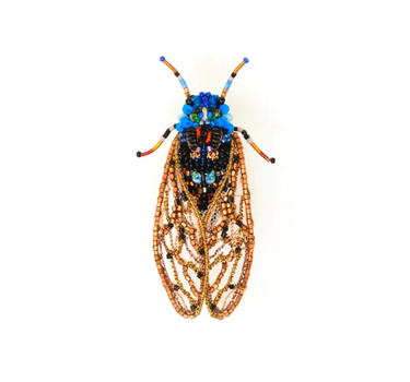 BROCHE CIGALE periodical cicada