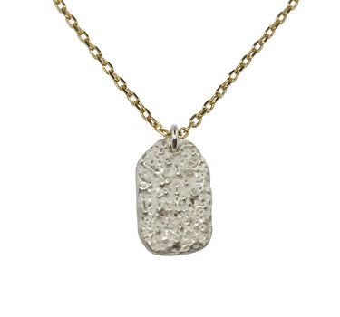 COLLIER LICHEN ARGENT/ CHAINE DORE