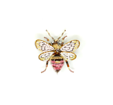 Broche Abeille Bombus bee