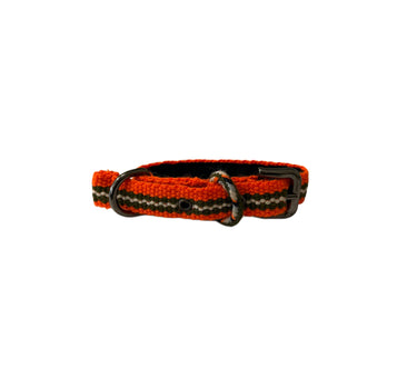 collier chien fin orange rayure kaki
