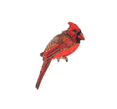 Broche Commun Cardinal