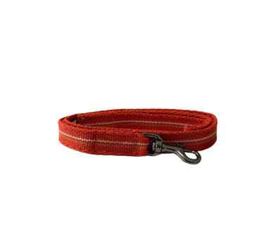 laisse fine orange avec rayure