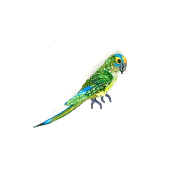 Broche Perroquet Peach_ Fronted Parakeet
