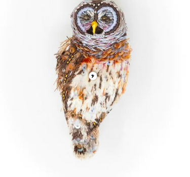 Broche Chouette  Hoot Owl