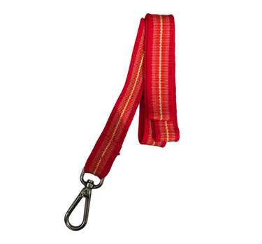 laisse rouge medium