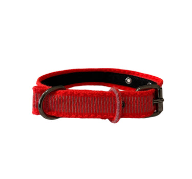 collier chien rose fluo rayure rose pale