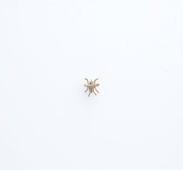 Pin's Moustique