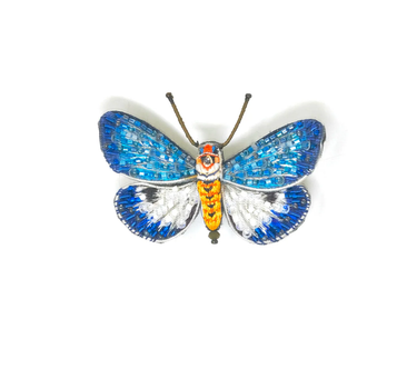 Broche Papillon Neochera moth