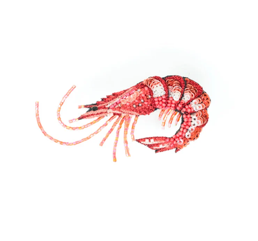 BROCHE CREVETTE True Shrimp