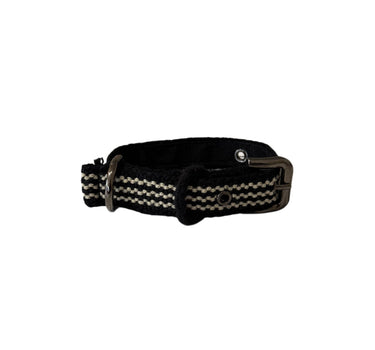 collier chien fin noir / beige