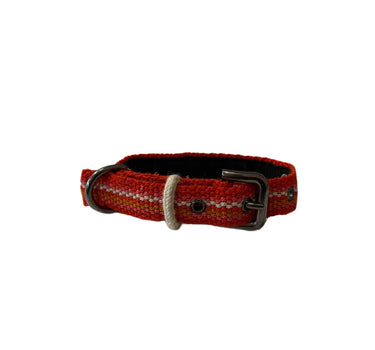 collier chien fin orange rayure colorées