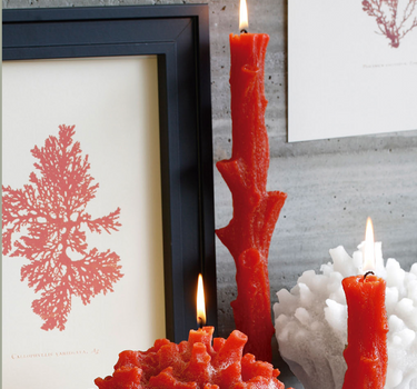 Bougie Corail