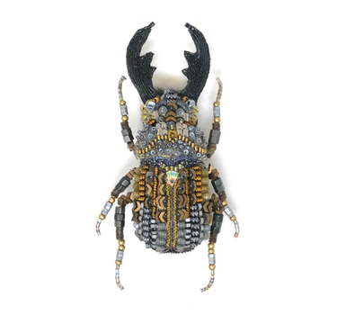 broche scarabéé Sawtooth stag beetle