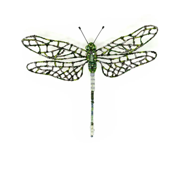 Broche Libellule Southern Hawker s Dragonfly