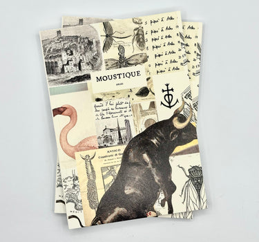 Cahier La fresque de Moustique