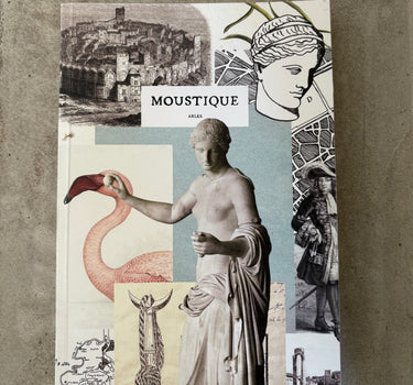 Cahier La Vénus de Moustique