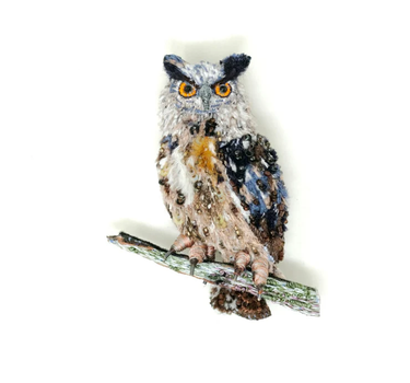 Uhu owl