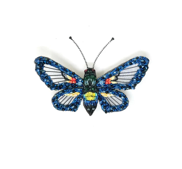 Broche Papillon Cocytia clearwing