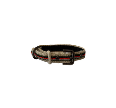 collier chien fin beige rayure colorées