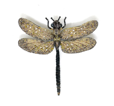 Broche Libellule- Vintage Glider