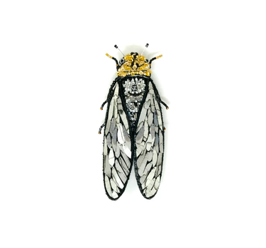Broche Cigale Zammara Cicada