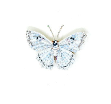 Broche Papillon white morph
