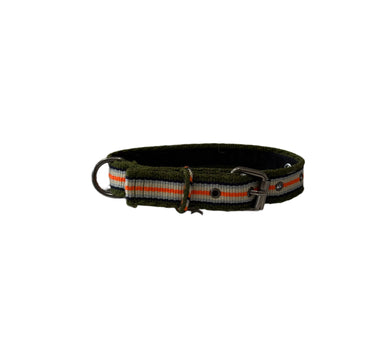 collier chien fin kaki rayure orange fluo