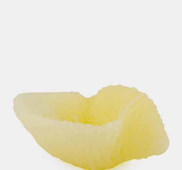 Bougie small shell