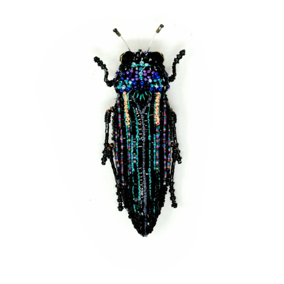 Broche scarabée - noir beetle